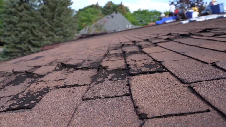 Best Roof Leak Repair  in Ladera, CA